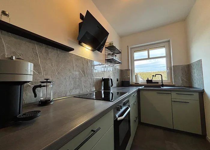 Naturkraft Mit Tiefgaragenstellplatz Und Balkon Oberhof (Thuringia)